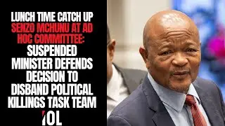 Ad Hoc Committee: Suspended police minister Senzo Mchunu defends decision to disband PKTT