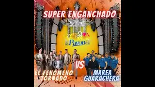 EL FENOMENO TORNADO VS MAREA GUARACHERA EN VIVO | DJ THOMY PAVON  ABRIL 2025