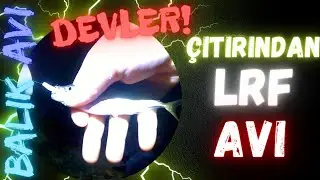 LRF AVI - ZARGANA AVI - EYLÜL 2023 - YALOVA / ESENKÖY - DEVLERİ BULDUK MU?