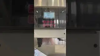 Pesatura a flusso, FLOW COUNTER BF15