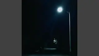 Night & Light & You
