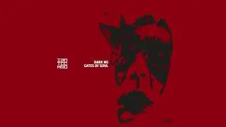 Dark Ng - Gates Of Soul (Original Mix) // IAMT RED