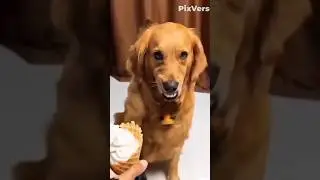 🤣😂😅