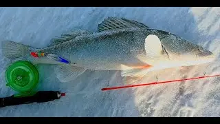 ПЕРВЫЙ ВЫХОД НА ОВХ!УСПЕШНОЕ НАЧАЛО СЕЗОНА 2021-22!