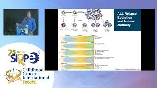 How to treat relapsed acute lymphoblastic leukaemia