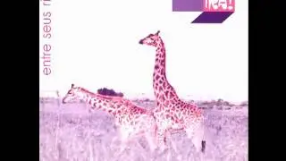 Ira! -  Milhas E Milhas