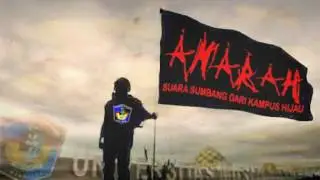 Lagu Amarah UMI + Lirik