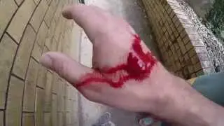 GoPro : Snake Attack !!! - CrittaCam