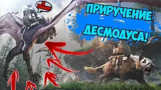 ARK - ПРИРУЧЕНИЕ ДЕСМОДУСА! ОБЗОР НА DESMODUS В АРК! СПОСОБНОСТИ, СПАВН! ФЬЕРДУР ( Fjordur )