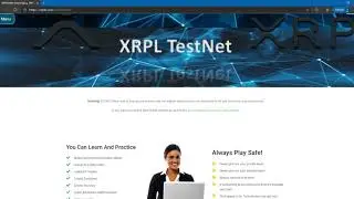 XRPL TestNet Demonstration of XRP Speed & Transaction Cost