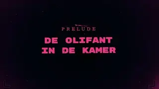 Kern Koppen - STOMP - De Olifant In De Kamer