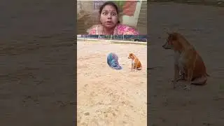 #viral​​ #education​​ #helth​​ #reels​​ #facts​​ #comedy​​ #funny​​ #trending​​ #shorts​