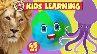 Toddler Learning Numbers, Feelings, Colors For Kids, ABC Song 📚  Educational Mix for Kids (45 Min)