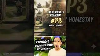 ₹18000 में Ubud में Bike Rent पर ली! Home Stay ऐसा कि होश उड़ जाएंगे #UbudBikeRental