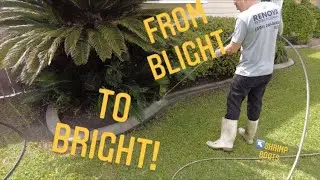 Satisfying Curb Pressure Washing