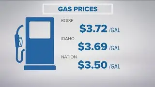 June 2024 gas prices plummet despite limited oil production