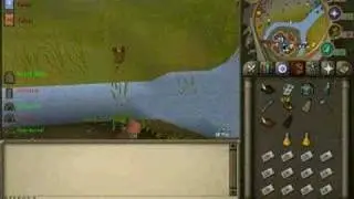 Sorry Maxboison
