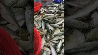 The Most ODDLY SATISFYING Video on the Internet A Master's God Tier Knife Skills on a Mountain of Fi