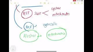 AST or SGOT/ALT or SGPT RATIO IN ALCOHOLIC HEPATITIS  2:1