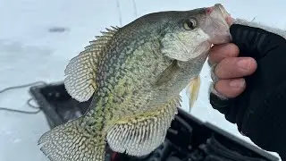 Fishing at Lake Byllesby 