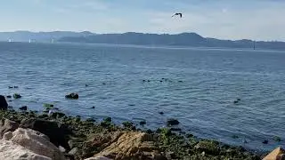 The Coast is Amazingly Beautiful and Moves in it's Own way!