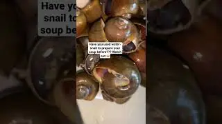 Water snail 🐌 in native soup #soup