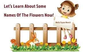 Learn Flowers Names for kids |Flowers Name basic In English Learning | #BloomAndLearn#kidseducation