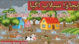 Pakistan Flood 2025 | Animated kids Explainer| climate Awareness| why Floods happens?