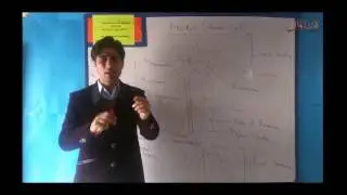 Neuron 1 (Pashto Language)
