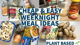 CHEAP & EASY WEEKNIGHT MEAL IDEAS | Plant Based Frugal Budget Friendly Meals