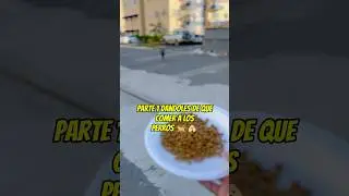 dandole de comer a los perros 🐶🐕