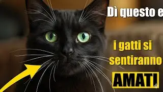 6 parole semplici che fanno sentire il tuo gatto amato all’istante