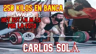 ENTREVISTA AL POWERBUILDER CARLOS SOL&Aacute;