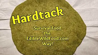 Hardtack Survival Food: Ancient Survival Food For Today's World