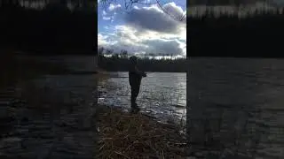 Shore fishing Walleye 2