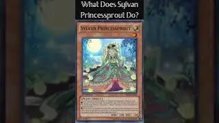 What Does Sylvan Princessprout Do? (Yugioh Cards Explained for Easy Deck Building)