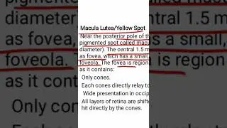 Macula lutea
