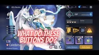 Revived Witch | The Character Screen Explained!