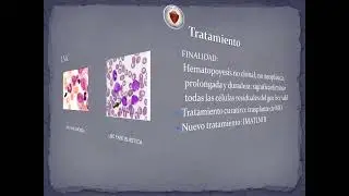 UT15 - Leucemia mieloide cronica y mielodisplasia Prof  Dra  Fern&aacute;ndez