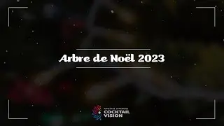 Cocktail Vision - Arbre de Noel 2023