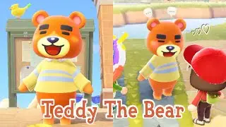 Teddy The Bear Jock Villager Animal Crossing New Horizons ACNH