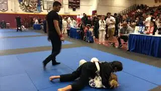 Trifecta MMA kids bjj