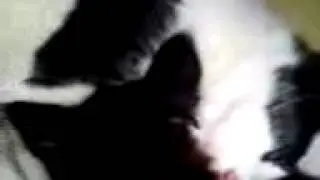 MOV04023