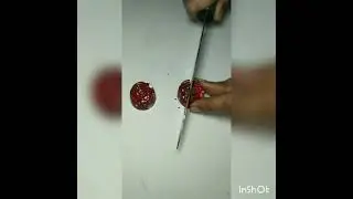 Chocolate Rose