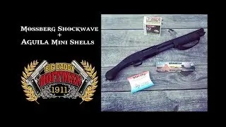 Mossberg Shockwave and Aguila Mini Shells