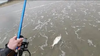 Surfcasting 90 Mile Beach