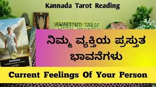 Current Feelings Of Your Person 🌿 ಪ್ರಸ್ತುತ ಭಾವನೆ | Nikitha🔮Tarot Reading