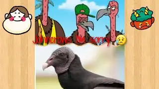 My Apology To The Johncrows 😨 I Won't Do It Again 😥