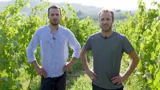 Cru &Terroir San Gimignano - Il Palagione