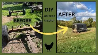 DIY Chicken Tractor. Our NEW chicken tractor for our EGG LAYERS!